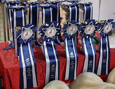 �������� ����� '���-�����-������' 22-23 ������ 2014 169A9463 copy.jpg